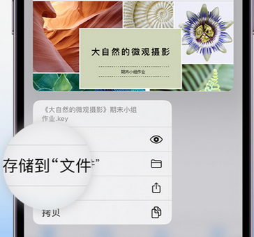 平鲁apple维修中心分享iPhone文件应用中存储和找到下载文件