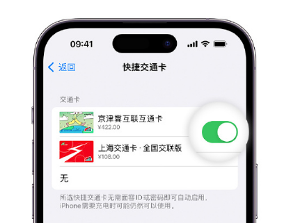 平鲁apple维修点分享iPhone上更换Apple Pay快捷交通卡手绘卡面 