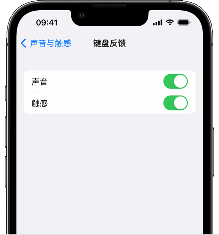 平鲁苹果14维修店分享如何在 iPhone 14 机型中使用触感键盘 