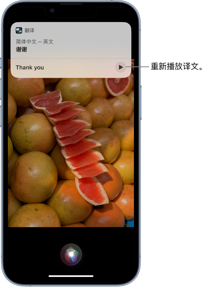 平鲁苹果14维修分享 iPhone 14 机型中使用 Siri：了解 Siri 能帮你做什么 