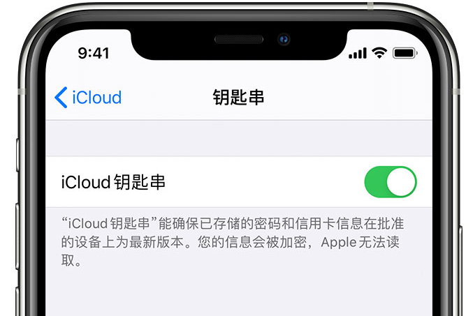 平鲁苹果手机维修分享在 iPhone 上开启 iCloud 钥匙串之后会储存哪些信息 