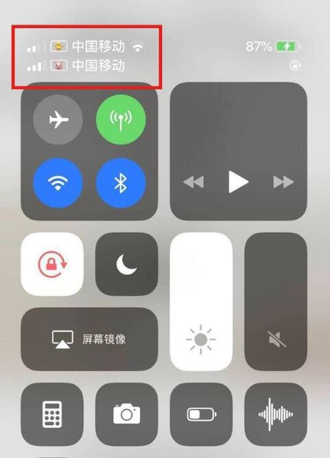 平鲁苹果手机维修分享为 iPhone 12 双卡设置标签 